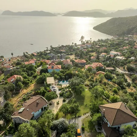 Bademli Bahce * Sogut